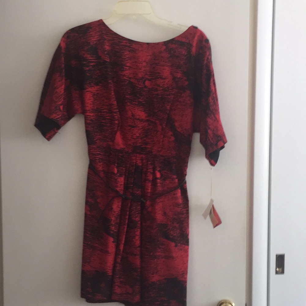 Ali Ro dress